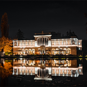 AUTOMATED HOUSE LIGHTING